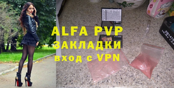 крисы Инта