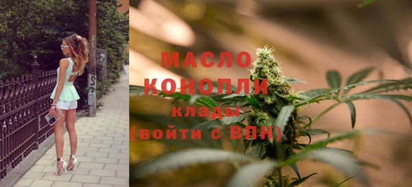 мяу мяу мука Елабуга