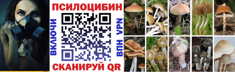 Псилоцибиновые грибы Magic Shrooms  сколько стоит  Уржум 